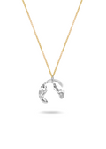 LASSO Silver Necklace